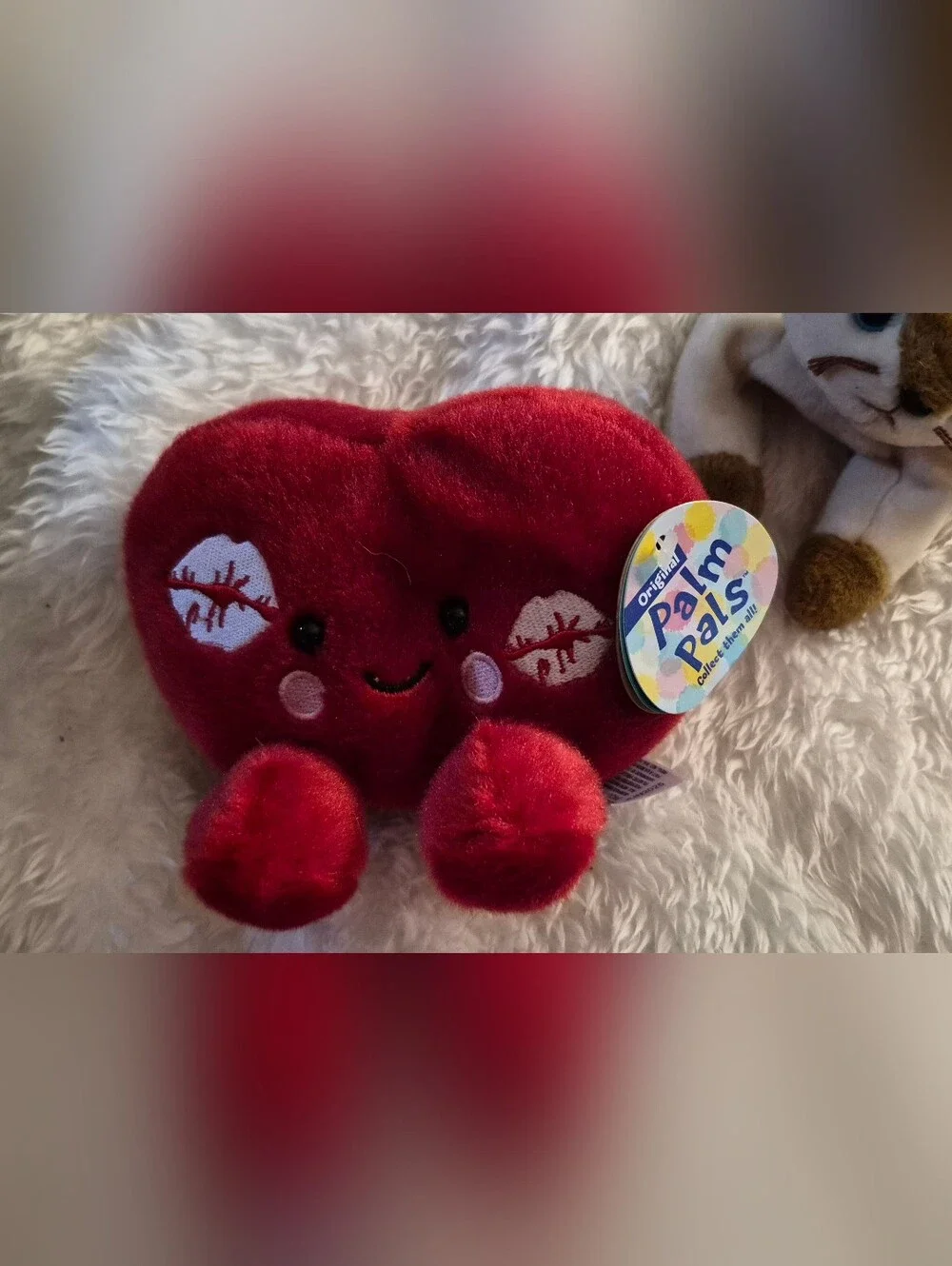 Ty Beanie Baby Collection